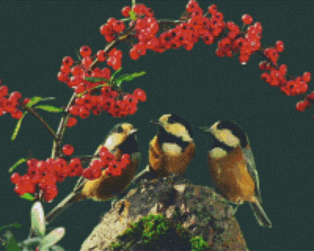 Birds And Flowers Sixteen [16] Baseplate PixelHobby Mini-mosaic Art Kit image 0